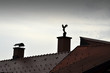 Weather Vane Weather Vane