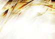 Grunge background with effect of a burned paper Grunge background with effect of a burned paper