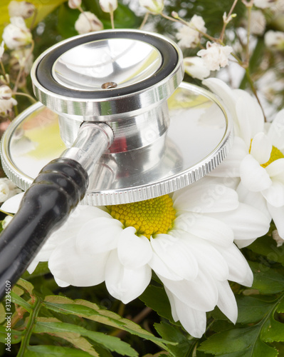 Photo: Examining flower by stethoscope Examining flower by stethoscope