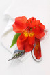Decorative table setting with red flower