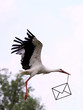 Storch mit Luftpostbrief