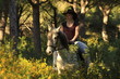 ausreiten im pinienwald