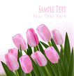 Flower design border isolated on white. Vector.