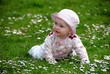 Cute Baby outdoor within daysis
