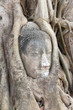 Buddha Head at Wat Mahathat, Ayuthaya, Thailand
