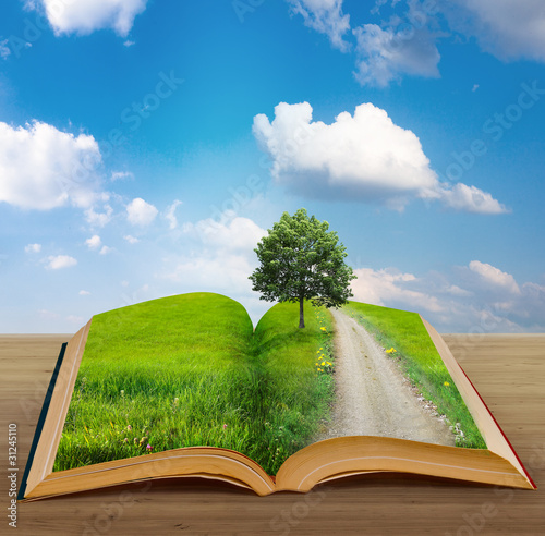 Ilustración: magic book with a landscape magic book with a landscape