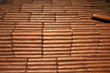 Unusual collection of cuban cigars