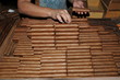 Arrange famous cuban cigars