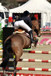 Reitsport, Pferdesport, Reiten, Springreiten, Hürdenspringen