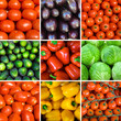 set of vegetable backgrounds