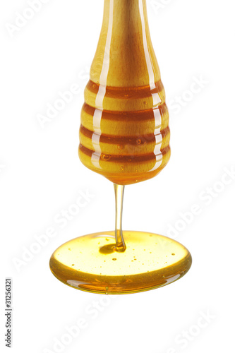 Photo: Dipper and honey Dipper and honey