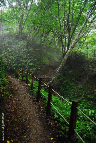 Photo: 山道 山道