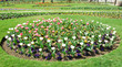 Botanical gardens