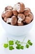 frische braune Champignons
