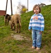 bébé et agneau