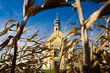 church in cornfield