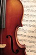 violino