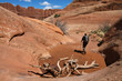 Hiker in a canyon - Arches NP