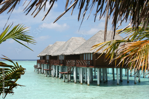 Photo: Maldives 葉の間から見える水上コテージ Maldives 葉の間から見える水上コテージ