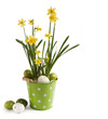 Foto: Easter Easter