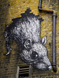 Rat Grafitti Art, London