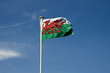 Welsh Flag