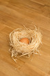 Vogelnest