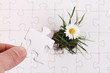 Puzzle mit Blume