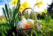 Easter Eggs in Sunshine