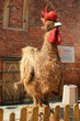Foto: Big straw cock near the Museum of Amber in Gdansk, Poland Big straw cock near the Museum of Amber in Gdansk, Poland