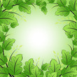 Green Frame with leaves