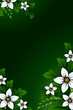 Natural floral background