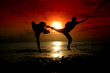 silhouette of two people fighting