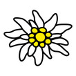 Edelweiß