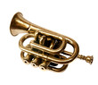 Vintage trumpet BB