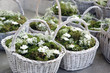 Paniers fleurs