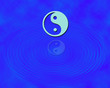 yin yang
