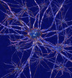 Rete neurale