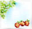 Vector apple tree
