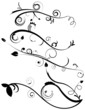 Decorative Flourishes Set 4