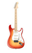Electric Guitar