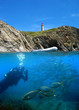 Surface and underwater view with fish and diver