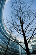 building with tree2