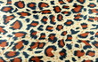 ����: leopard texture � George.M. #31326592