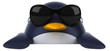 Pingouin et lunettes de soleil