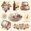 Hand drawn vector set - wine and winemaking