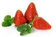 three ripe strawberries with big leaves on white background three ripe strawberries with big leaves on white background