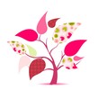 ESTAMPADO