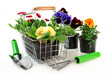 Blumeneinkauf