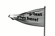 Waving template flag